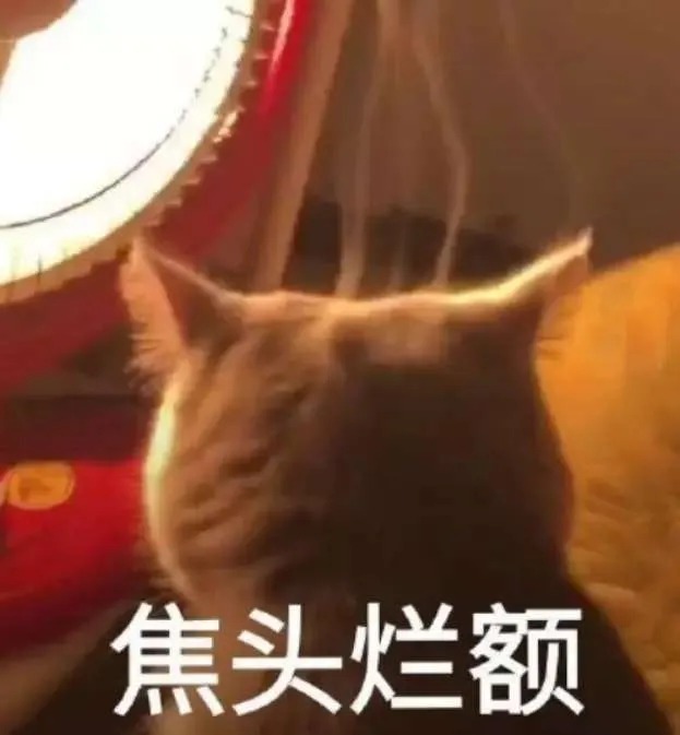 1603957443890026.jpg 640.jpg